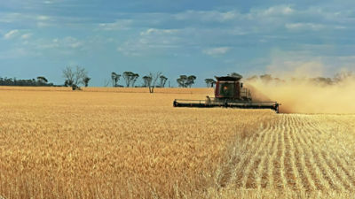 Wheat farming in Western Australia.