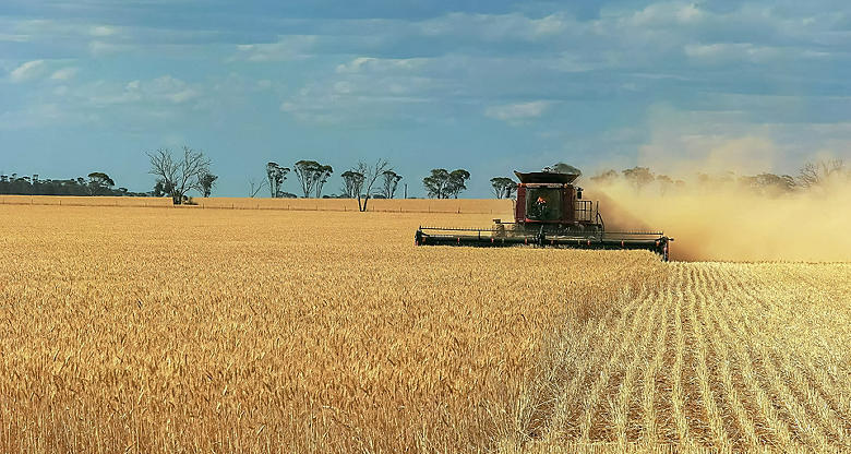 Wheat farming in Western Australia.