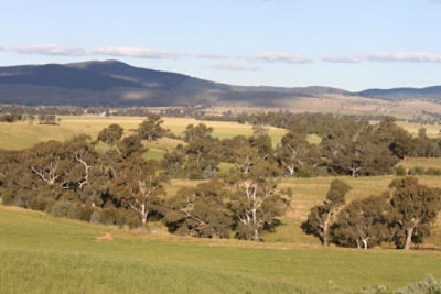Aerial view of a car driving on a long road by the ocean