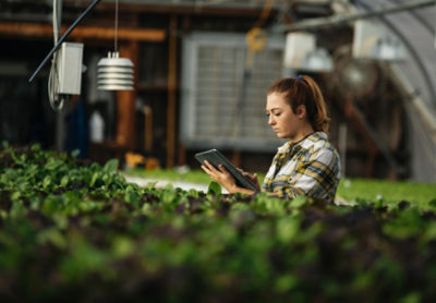 Woman using iPad