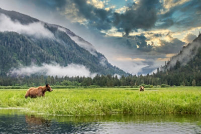Canada mountains and bears