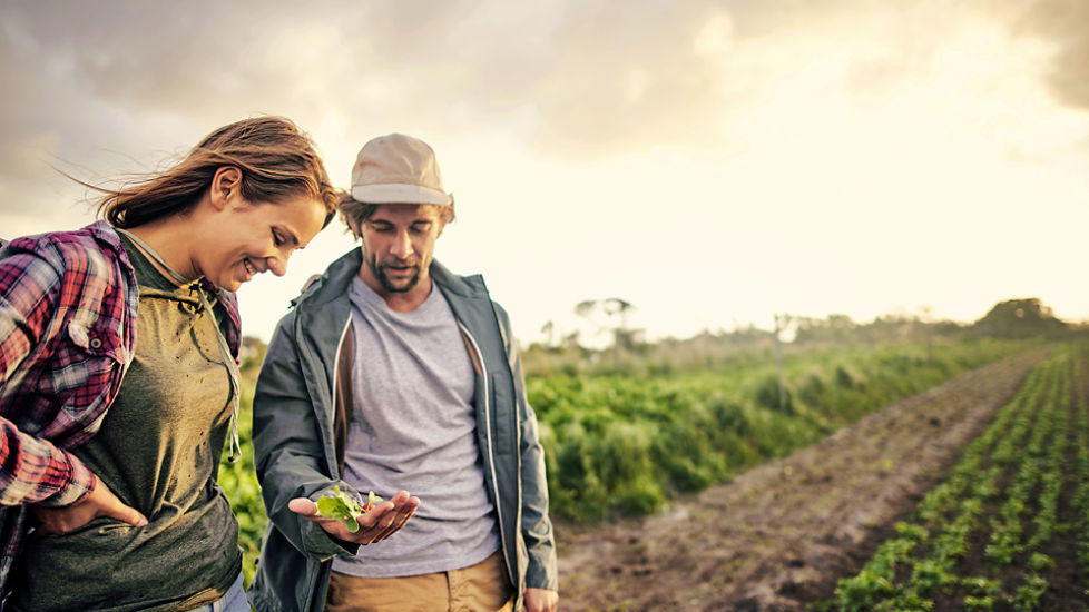 Regional and Agribusiness Banking Contacts - CommBank