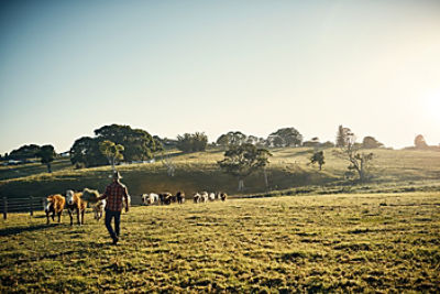 Farmer