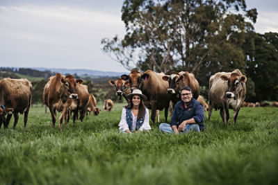 Man and women sitting in grassy field with cows behind.