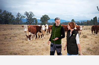 An open field of flowers is viewed from under a shady tree