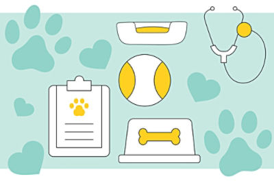 A graphic with a clip board, dog bowl, pet bed, ball and stethoscope.