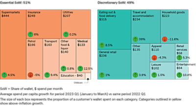 Infographic showing essential share of wallet and discretionary share of wallet