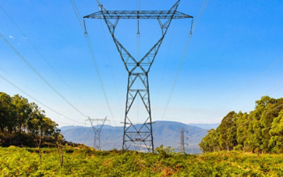 High voltage power lines between Mansfield and Whitfield - Whitlands, Victoria, Australia