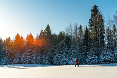 person walking in the snow