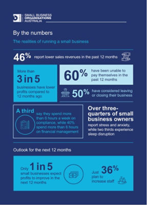 Small Business Perspectives Report graphic