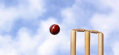 Cricket stumps