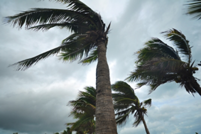 Tropical Cyclone Zelia Western Australia