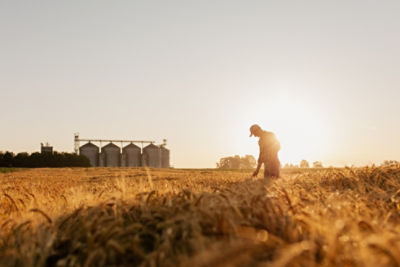 Farmer working in field 
