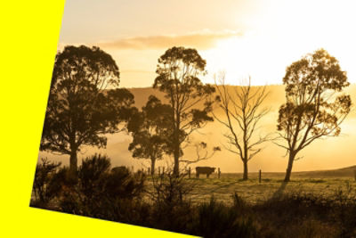 Natural capital: a path to farming profitability