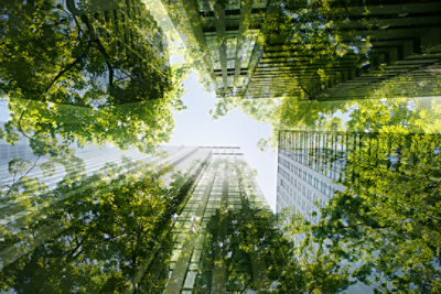 Buildings with trees