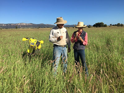 Farmer Matthew in field 
