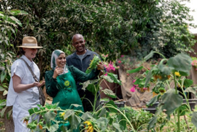 people admiring shrubbery in Giza