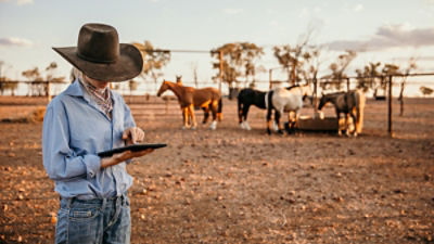 Woman using iPad standing next to horses in a yard. Credit Austockphoto/ Adobe Stock