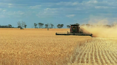 Australian farm combine harvester