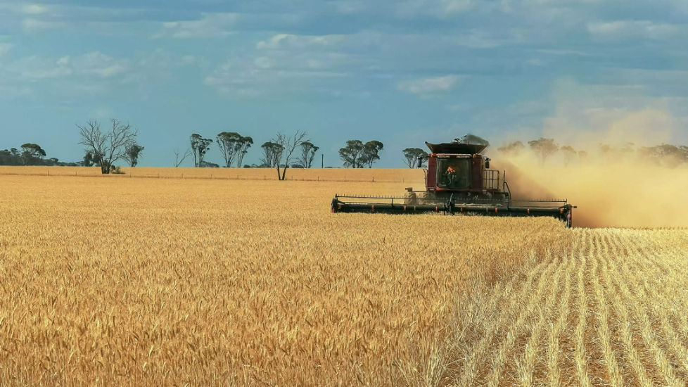 Politics to play a bigger role in agri markets as global tensions rise