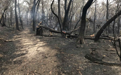 Electric car on charge. Credit: Adobe Stock