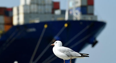 Cargo ship. Photo: AAP