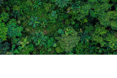 Sunset over a sheep farm in outback Victoria Australia. Picture: Adobe Stock/ Hamish