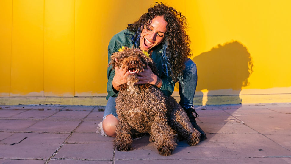 Make a pet insurance claim GapOnly® CommBank
