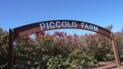 Piccolo Farm Sign