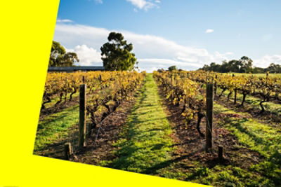 Women in regional business