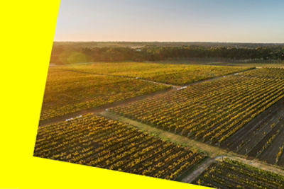 Women in regional business