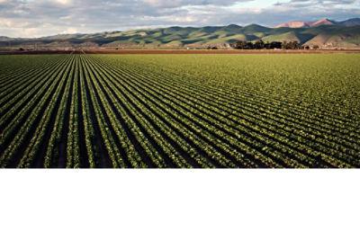 Sunset over a sheep farm in outback Victoria Australia. Picture: Adobe Stock/ Hamish