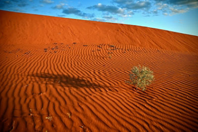 Sand dunes in Ourdel