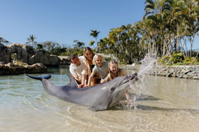 seaworld resort playing with dolphins
