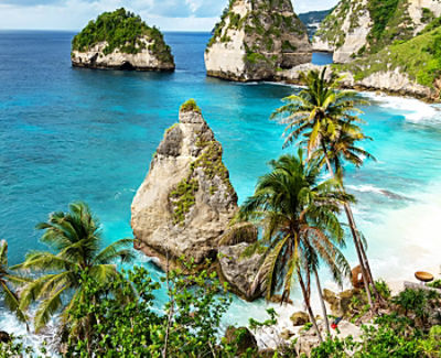 tropical holiday beach and palm trees